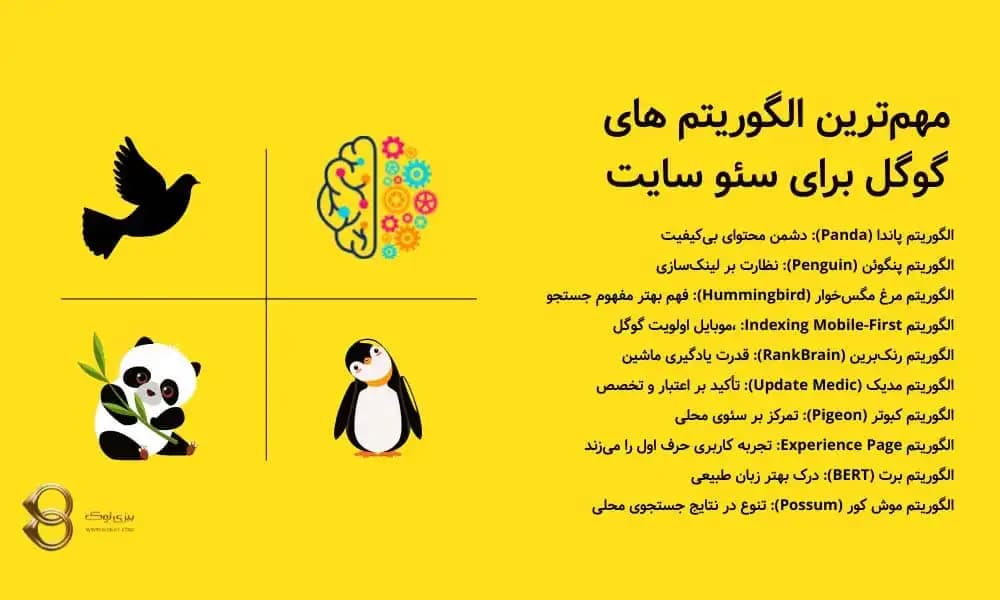 10 تا از مهم‌ترین الگوریتم های گوگل برای سئو سایت